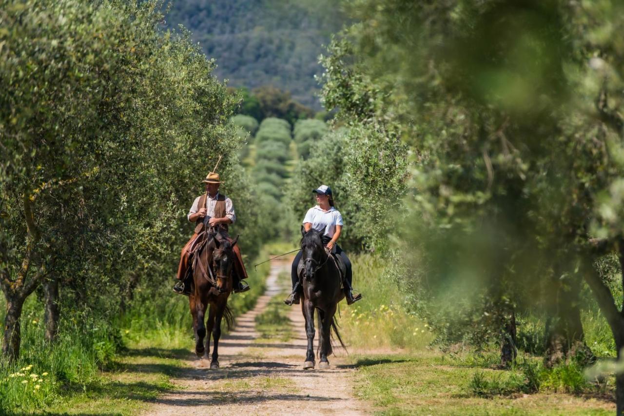 Tenuta Agricola Dell'Uccellina Villa Talamone Buitenkant foto